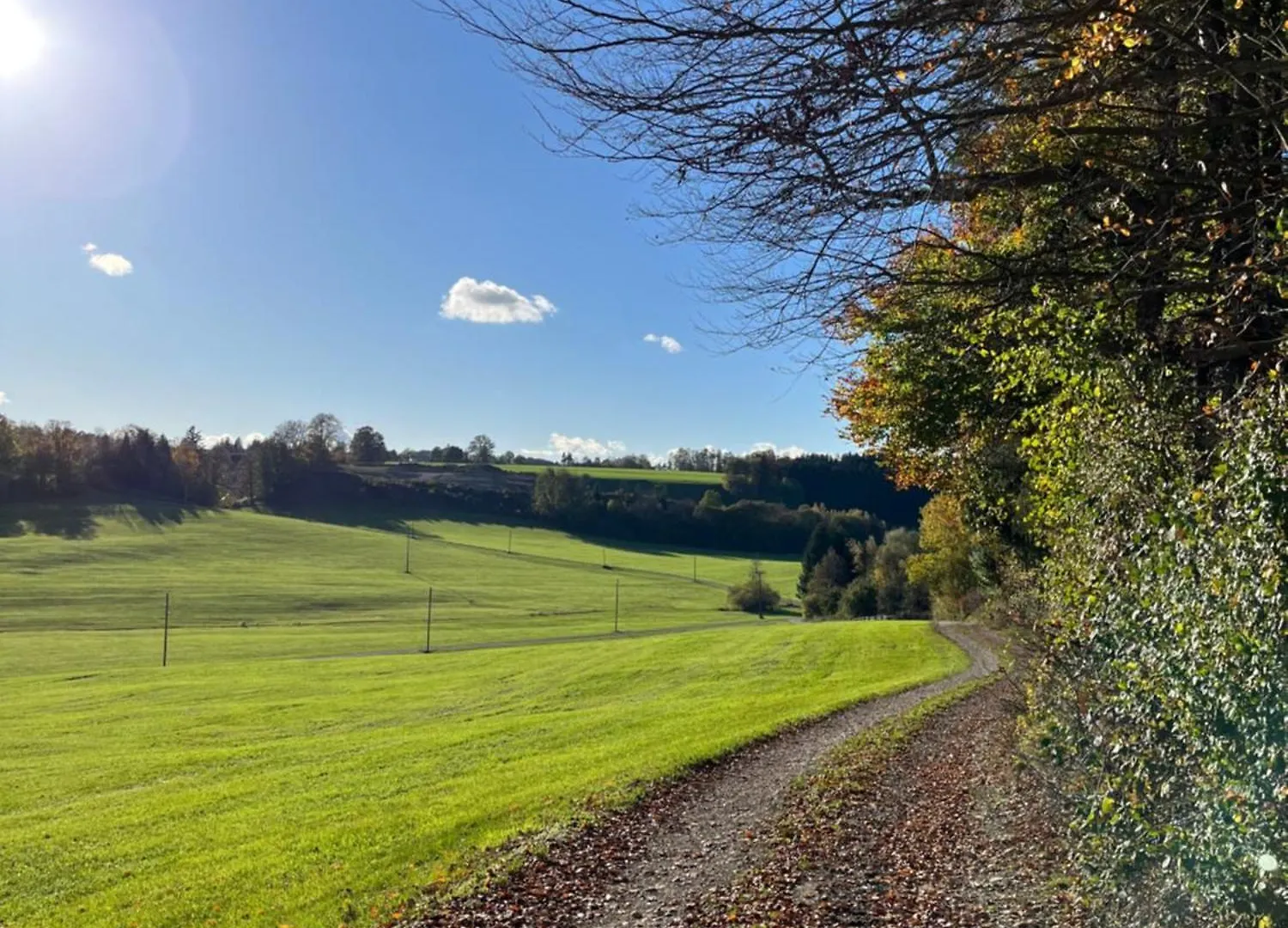 Ferienwohnung Ferienhaus Am Wald Friesenried